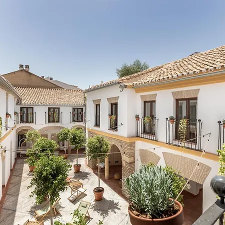 Auberge de jeunesse Cats *