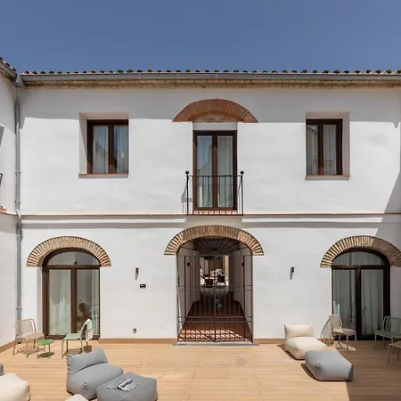 Auberge de jeunesse Cats *