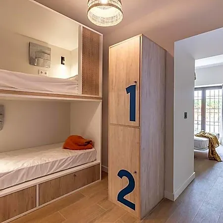 Cats Hostel