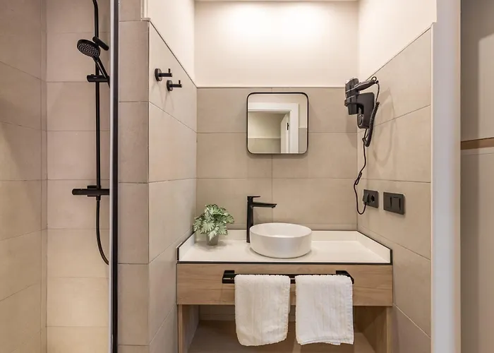 Cats Auberge de jeunesse *